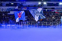 Eishockey, Herren, Penny DEL, 33. Spieltag, Saison 2023-2024, Straubing Tigers - Nürnberg Ice Tigers,30.12.2023