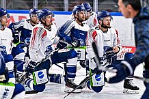 Eishockey, Herren, DEL, Penny DEL, Saison 2023-2024, Straubing Tigers, 04.08.2023