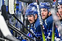 Eishockey, Herren, Penny DEL, Saison 2024-2024, Vorbereitung, Spiel um Platz 3 - Gäubodencup 2024, Straubing Tigers - Mountfield HK, 31.08.2024