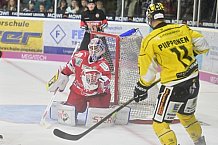 Herren, Eishockey, Oberliga-Süd, DEB, Saison 2024-2025, Deggendorfer SC - Tölzer Löwen, 22.09.2024