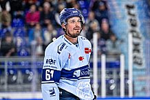 Eishockey, Herren, DEL, Penny DEL, Saison 2023-2024, Straubing Tigers, öffentliches Eistraining,06.08.2023