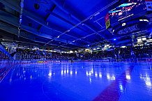 Eishockey, Herren, Penny DEL, Playoffs, Viertelfinale, Spiel 7, Saison 2023-2024, Straubing Tigers - Schwenninger Wild Wings,30.03.2024
