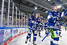 Eishockey, Herren, Penny DEL, 8. Spieltag, Saison 2023-2024, Straubing Tigers - ERC Ingolstadt,06.10.2023