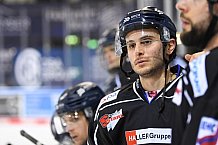 Straubing Tigers - Nürnberg Ice Tigers