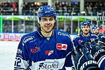Eishockey, Herren, Penny DEL, 11. Spieltag, Saison 2023-2024, Straubing Tigers - Koelner Haie,15.10.2023