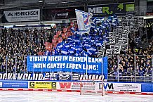 Eishockey, Herren, DEL, Penny DEL, Saison 2022-2023, Hauptrunde, Straubing Tigers - Adler Mannheim, 40. Spieltag, 06.01.2023