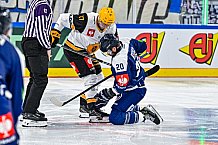 Eishockey, Men, CHL, Champions Hockey League, Regular Saison 2024-25, Game Day 2, Straubing Tigers - Skelleftea AIK, 08.09.2024
