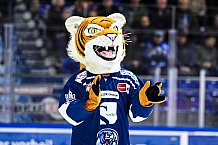 Eishockey, Herren, DEL, Saison 2021-2022, 05.11.2021