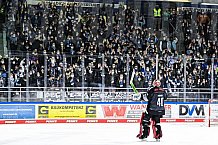 Eishockey, Herren, Penny DEL, Saison 2021-2022, 58. Spieltag, Straubing Tigers - Düsseldorfer EG,  23.03.2022