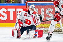 Eishockey, Men, CHL, Champions Hockey League, Regular Saison 2024-25, Game Day 4, Straubing Tigers - Dynamo Pardubice, 15.09.2024