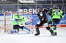 Eishockey, Herren, DEL, Saison 2020 2021, Straubing Tigers - ERC Ingolstadt, 31.01.2021