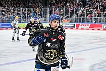 Eishockey, Herren, Penny DEL, 22. Spieltag, Saison 2023-2024, Straubing Tigers - Fischtown Pinguins Bremerhaven,26.11.2023