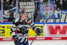 Eishockey, Herren, Penny DEL, 42. Spieltag, Saison 2023-2024, Straubing Tigers - Ingolstadt Panther,28.01.2024