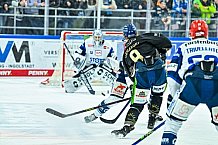 Eishockey, Herren, Penny DEL, 16. Spieltag, Saison 2023-2024, Straubing Tigers - Schwenninger Wild Wings,31.10.2023