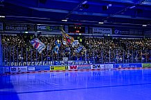 Eishockey, Herren, Penny DEL, 24. Spieltag, Saison 2023-2024, Straubing Tigers - Grizzlys Wolfsburg,03.12.2023