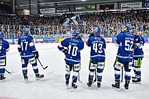 Eishockey, Herren, Penny DEL, 42. Spieltag, Saison 2023-2024, Straubing Tigers - Ingolstadt Panther,28.01.2024
