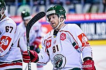 Eishockey, Herren, CHL, Champions Hockey League, Saison 2022-2023, Achtelfinale, Straubing Tigers - Frölunda HC Göteborg, Rückspiel, 22.11.2022