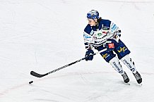 Eishockey, Herren, Penny DEL, 26. Spieltag, Saison 2023-2024, Straubing Tigers - Iserlohn Roosters,10.12.2023