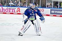 Eishockey, Men, DEL, Penny DEL, Hauptrunde Saison 2024-25, 4. Spieltag, Straubing Tigers - EHC Red Bull München, 29.09.2024