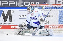 Eishockey, Herren, DEL, Saison 2020 2021, Straubing Tigers - Schwenninger Wild Wings, 25.01.2021