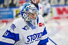 Eishockey, Herren, Penny DEL, 29. Spieltag, Saison 2023-2024, Straubing Tigers - Schwenninger Wild Wings,21.12.2023