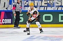 Eishockey, Men, CHL, Champions Hockey League, Regular Saison 2024-25, Game Day 2, Straubing Tigers - Skelleftea AIK, 08.09.2024