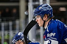 Eishockey, Herren, Penny DEL, 40. Spieltag, Saison 2023-2024, Straubing Tigers - Augsburger Panther,21.01.2024