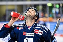 Eishockey, Herren, DEL, Saison 2021-2022, Straubing Tigers - Adler Mannheim, 10.09.2021