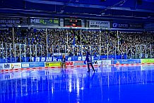 Eishockey, Herren, Penny DEL, Playoffs, Viertelfinale, Spiel 3, Saison 2023-2024, Straubing Tigers - Schwenninger Wild Wings,22.03.2024