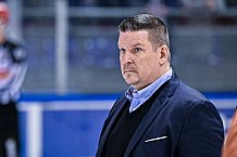 Eishockey, Herren, Penny DEL, DEL, Saison 2022-2023, Playoffs, Viertelfinale, Spiel 7, Straubing Tigers - Grizzlys Wolfsburg, 29.03.2023