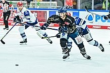 Eishockey, Herren, Penny DEL, 16. Spieltag, Saison 2023-2024, Straubing Tigers - Schwenninger Wild Wings,31.10.2023