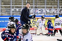 Eishockey, Herren, Penny DEL, DEL, Saison 2022-2023, Hauptrunde, Straubing Tigers - Grizzlys Wolfsburg, 27. Spieltag, 04.12.2022