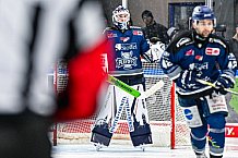 Eishockey, Herren, Penny DEL, Playoffs, Viertelfinale, Spiel 5, Saison 2023-2024, Straubing Tigers - Schwenninger Wild Wings,26.03.2024