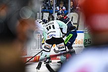 Eishockey, Herren, DEL, Saison 2021-2022, 24.10.2021