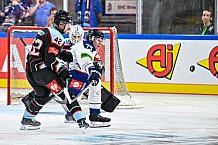 Eishockey, Men, CHL, Champions Hockey League, Regular Saison 2024-25, Game Day 1, Straubing Tigers - SonderjyskE Vojens, 06.09.2024