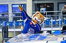 Eishockey, Herren, CHL, Champions Hockey League, Saison 2022-2023, Achtelfinale, Straubing Tigers - Frölunda HC Göteborg, Rückspiel, 22.11.2022