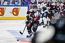 Eishockey, Men, CHL, Champions Hockey League, Regular Saison 2024-25, Game Day 1, Straubing Tigers - SonderjyskE Vojens, 06.09.2024