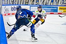 Eishockey, Men, DEL, Penny DEL, Hauptrunde Saison 2024-25, 5. Spieltag, Straubing Tigers - Eisbären Berlin, 01.10.2024