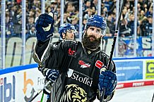 Eishockey, Herren, Penny DEL, 12. Spieltag, Saison 2023-2024, Straubing Tigers - Duesseldorfer EG,20.10.2023