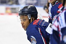 Straubing Tigers - ERC Ingolstadt