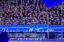 Eishockey, Herren, Penny DEL, 32. Spieltag, Saison 2023-2024, Straubing Tigers - Adler Mannheim,28.12.2023