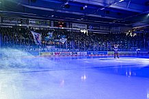 Eishockey, Herren, Penny DEL, 40. Spieltag, Saison 2023-2024, Straubing Tigers - Augsburger Panther,21.01.2024