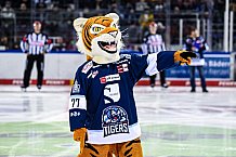 Eishockey, Herren, DEL, Saison 2021-2022, 07.11.2021