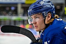 Eishockey, Herren, Penny DEL, 40. Spieltag, Saison 2023-2024, Straubing Tigers - Augsburger Panther,21.01.2024