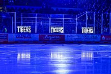 Eishockey, Herren, Penny DEL, DEL, Saison 2022-2023, Playoffs, Viertelfinale, Spiel 7, Straubing Tigers - Grizzlys Wolfsburg, 29.03.2023