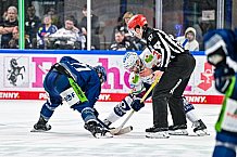 Eishockey, Herren, Penny DEL, Playoffs, Halbfinale, Spiel 4, Saison 2023-2024, Straubing Tigers - Eisbären Berlin, n07.04.2024