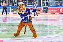 Eishockey, Herren, Penny DEL, 42. Spieltag, Saison 2023-2024, Straubing Tigers - Ingolstadt Panther,28.01.2024