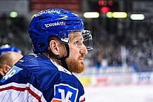 Eishockey, Herren, DEL, Saison 2021-2022, Straubing Tigers - Adler Mannheim, 10.09.2021