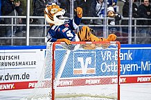 Eishockey, Herren, DEL, Saison 2021-2022, 19.10.2021