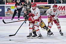 Herren, Eishockey, Oberliga-Süd, Saison 2022-2023, DEB, Deggendorfer SC - EV Herne Miners, Playoff, Viertelfinale, Spiel 4, 04.04.2023
